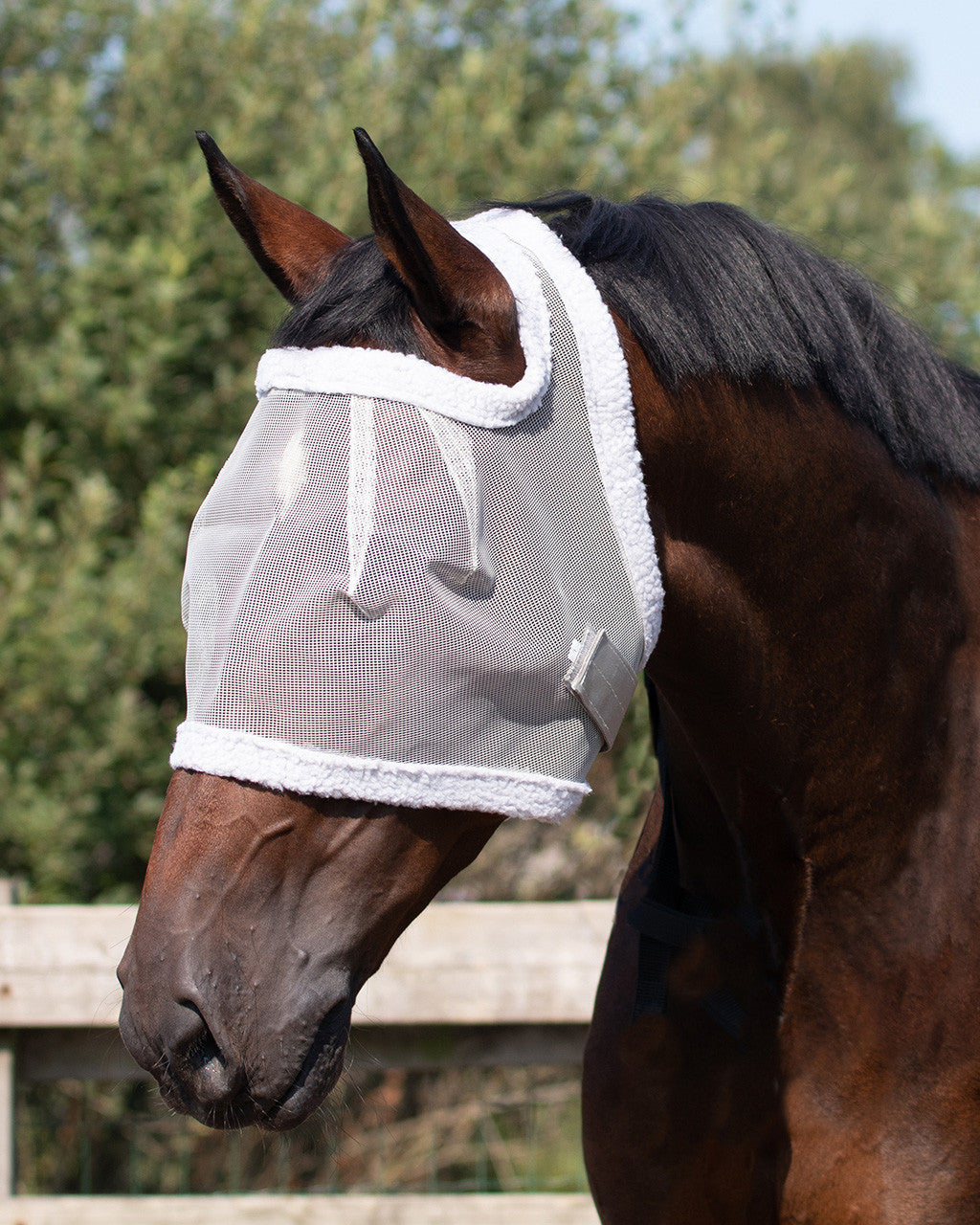 Máscara antimoscas sin ear protection QHP para equitación - vista 6