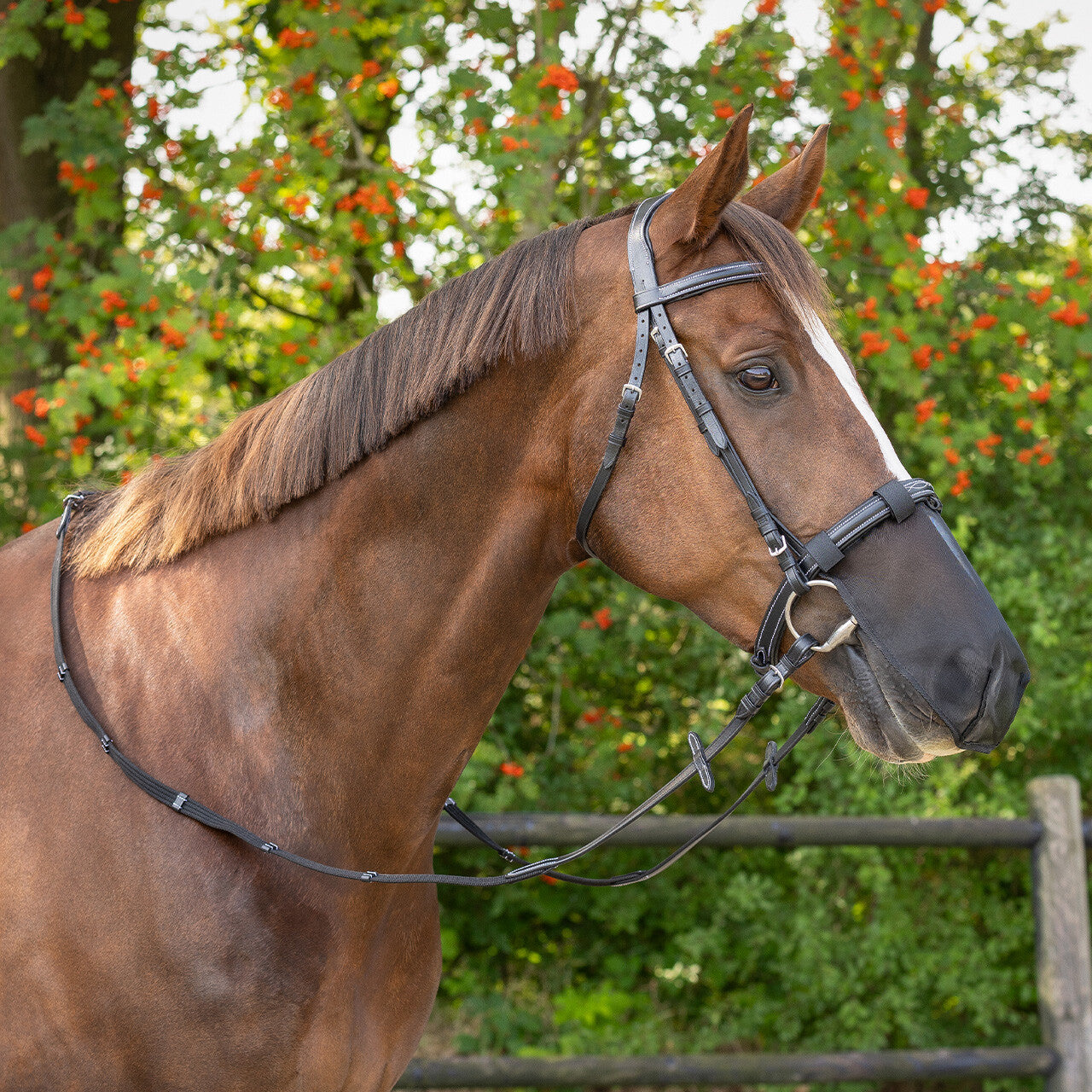 Cabezadas Fly nose protection QHP para equitación - vista 5