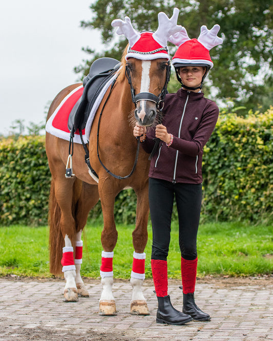 Cascos Reindeer hat Christmas QHP para equitación - vista 5