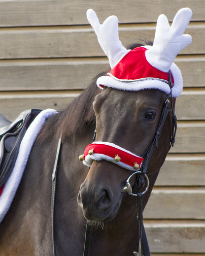 Cascos Reindeer hat Christmas QHP para equitación - vista 6