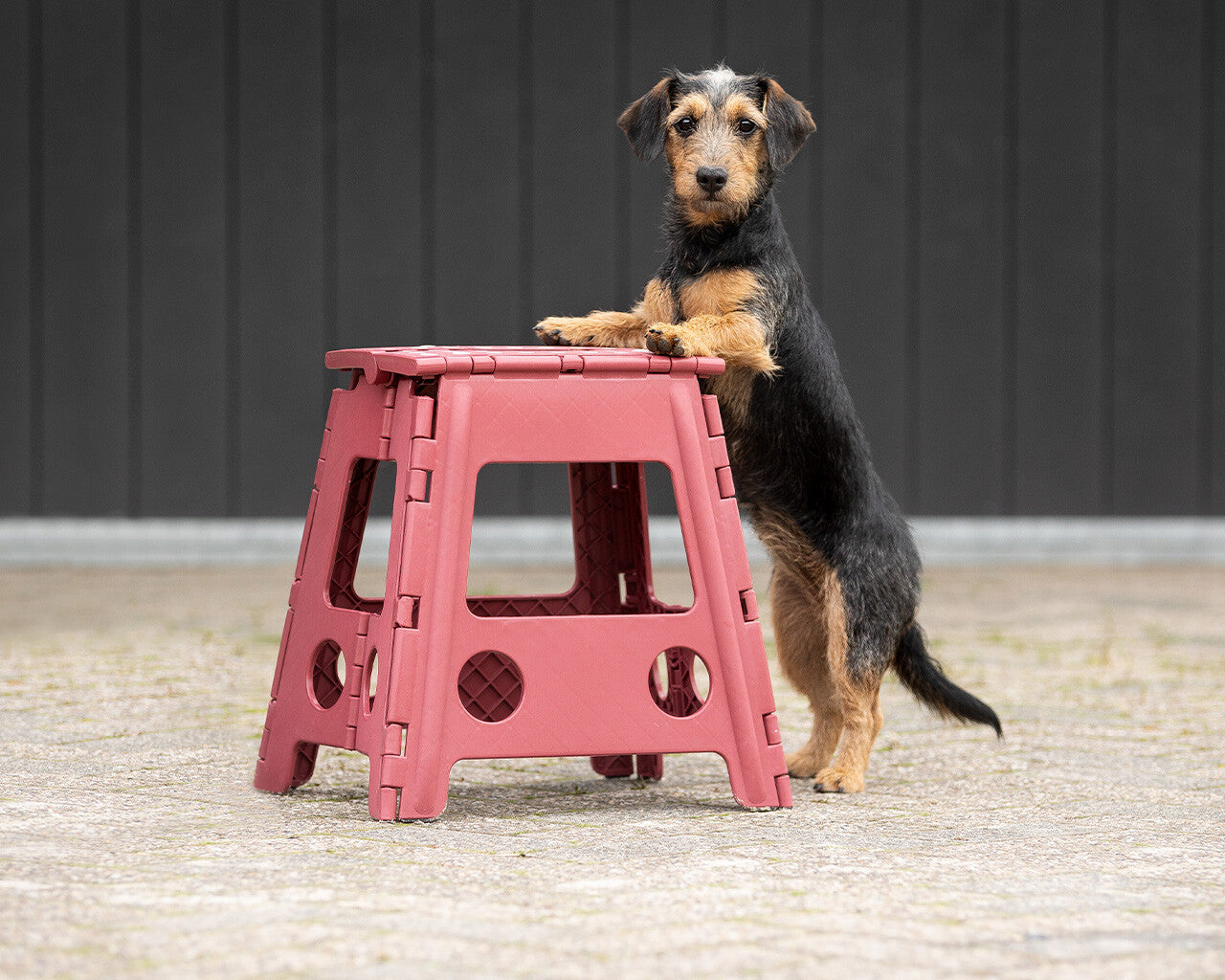 Step-up stool QHP para equitación - vista 23