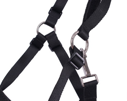 Bozal de pasto Grazemuzzle QHP para equitación - vista 7