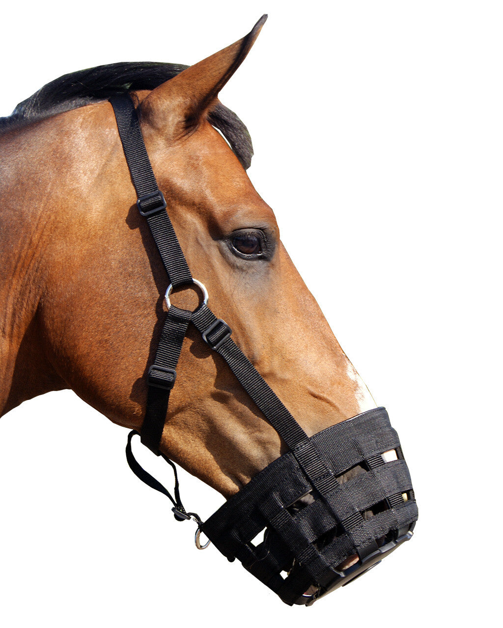 Bozal de pasto Grazemuzzle QHP para equitación - vista 4