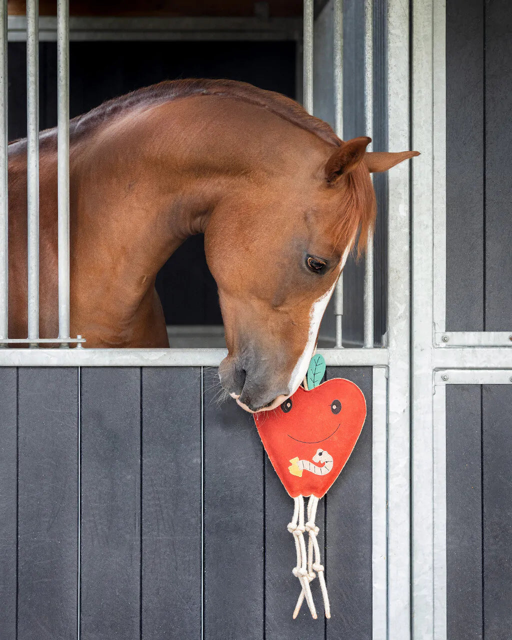 Accesorio ecuestre Caballo toy QHP para equitación - vista 4