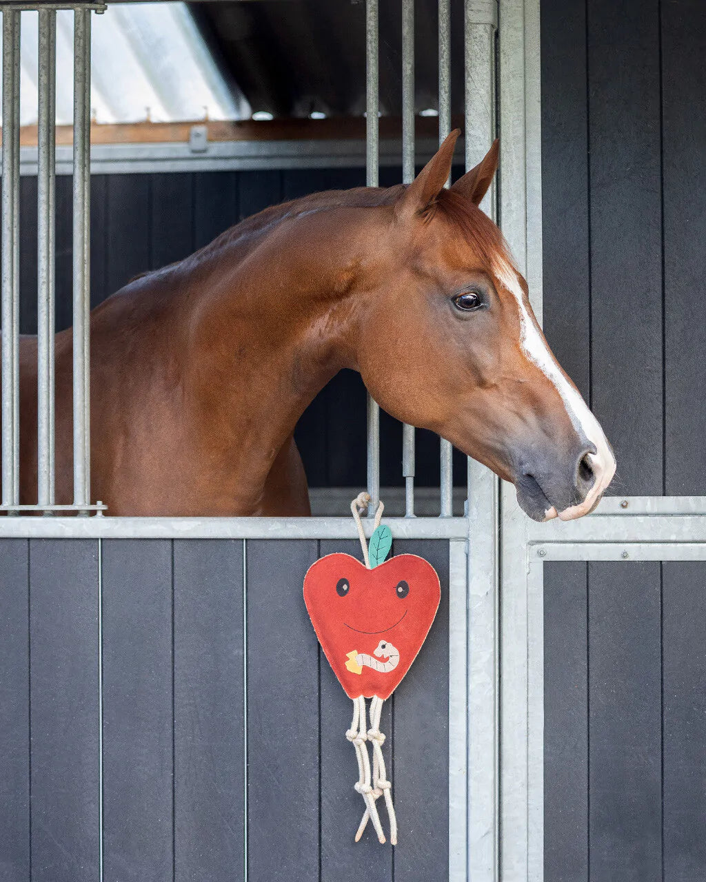 Accesorio ecuestre Caballo toy QHP para equitación - vista 6
