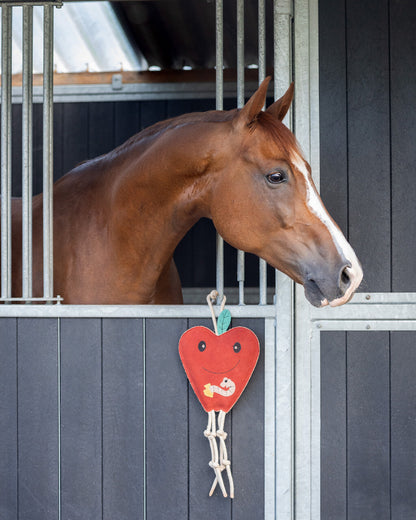 Accesorio ecuestre Caballo toy QHP para equitación - vista 24
