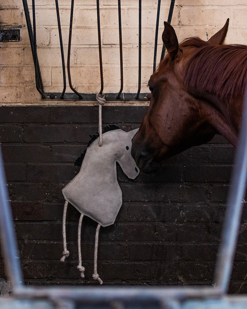 Accesorio ecuestre Caballo toy QHP para equitación - vista 11