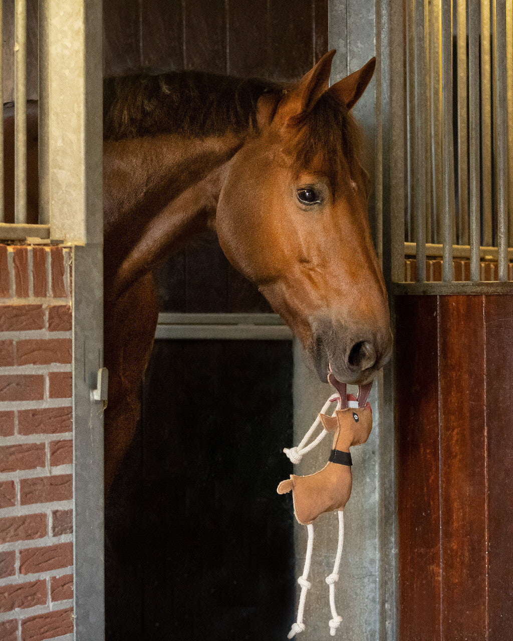 Accesorio ecuestre Caballo toy QHP para equitación - vista 17