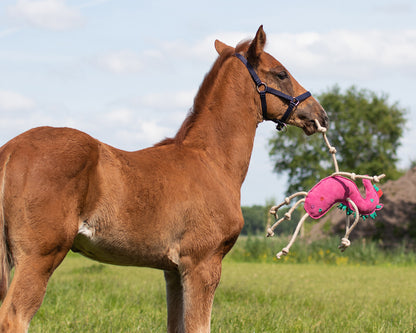 Accesorio ecuestre Caballo toy QHP para equitación - vista 33