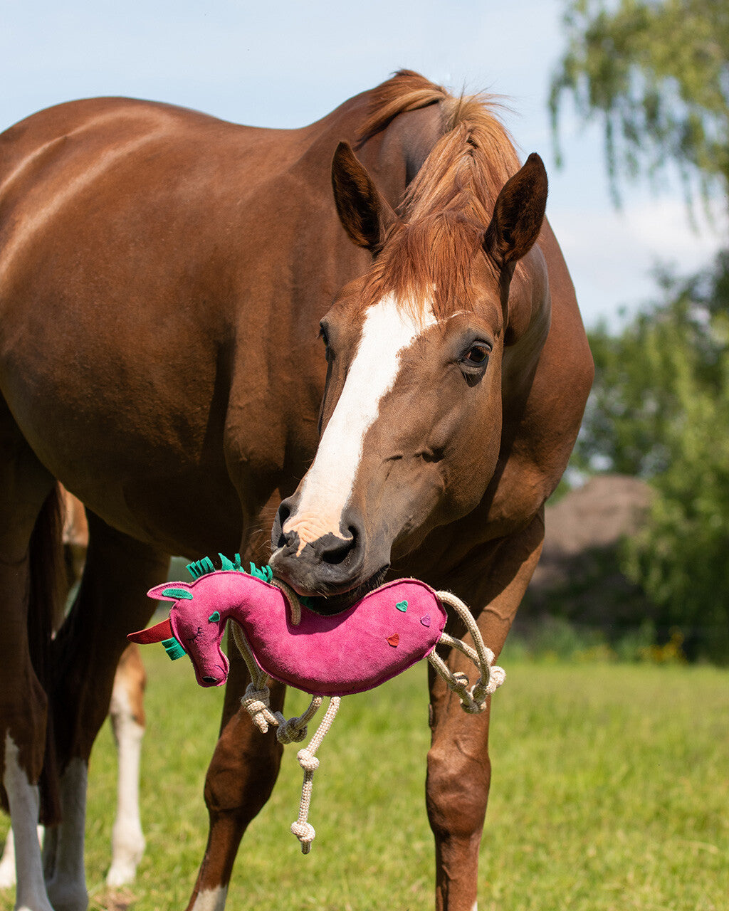 Accesorio ecuestre Caballo toy QHP para equitación - vista 34