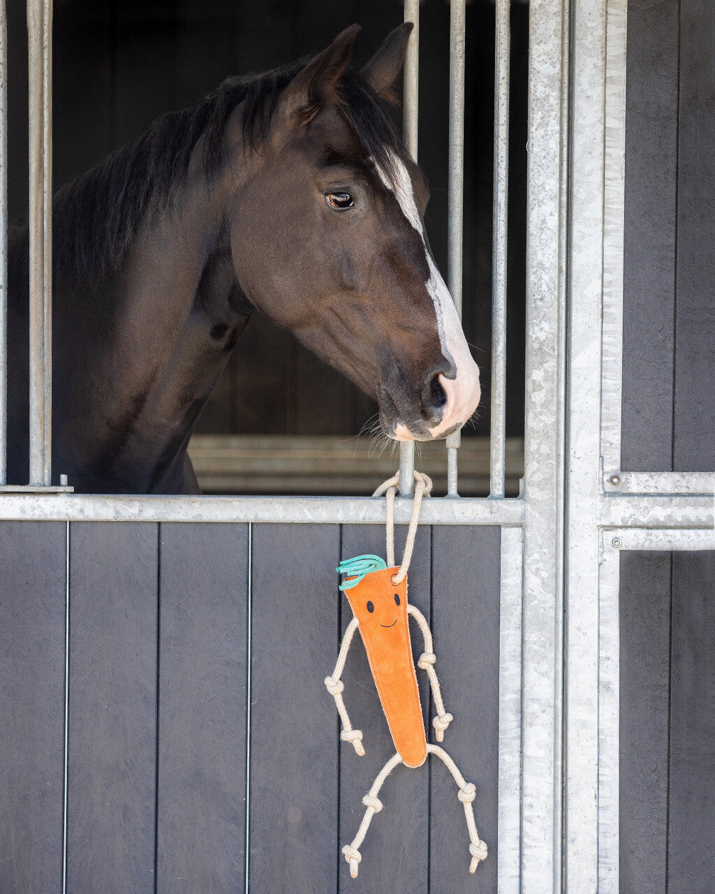 Accesorio ecuestre Caballo toy QHP para equitación - vista 38