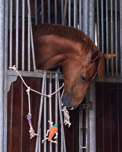 Decoración juguete para caballo box hanger QHP para equitación - vista 7
