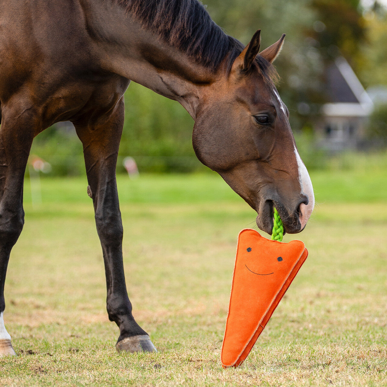 Accesorio ecuestre Caballo toy XL QHP para equitación - vista 3