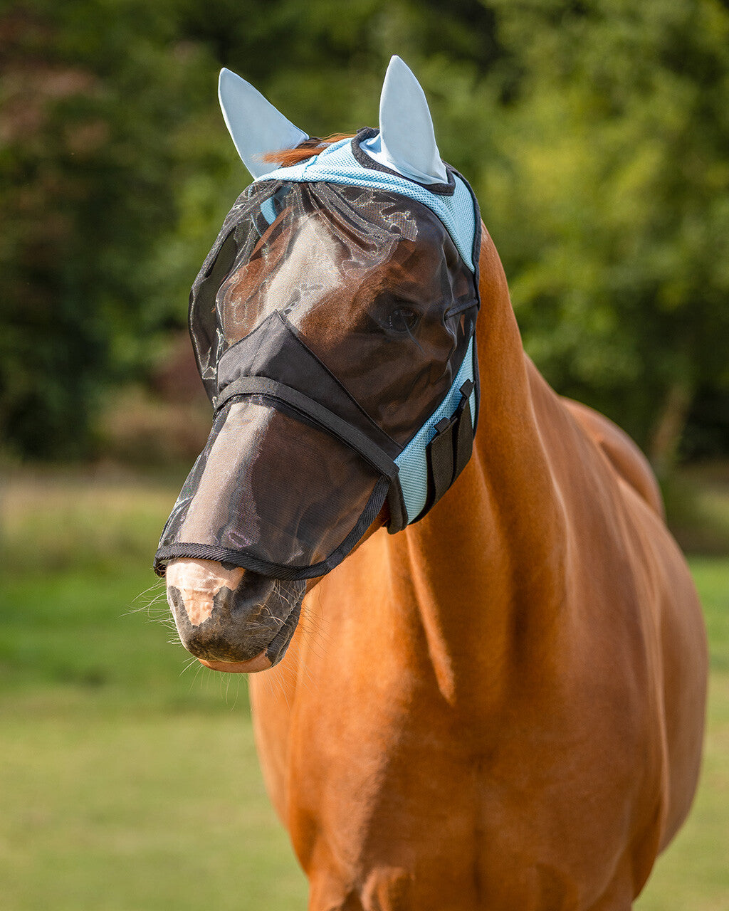 Máscara antimoscas con detachable nose flap QHP para equitación - vista 9