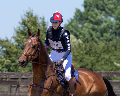 Number bib QHP para equitación