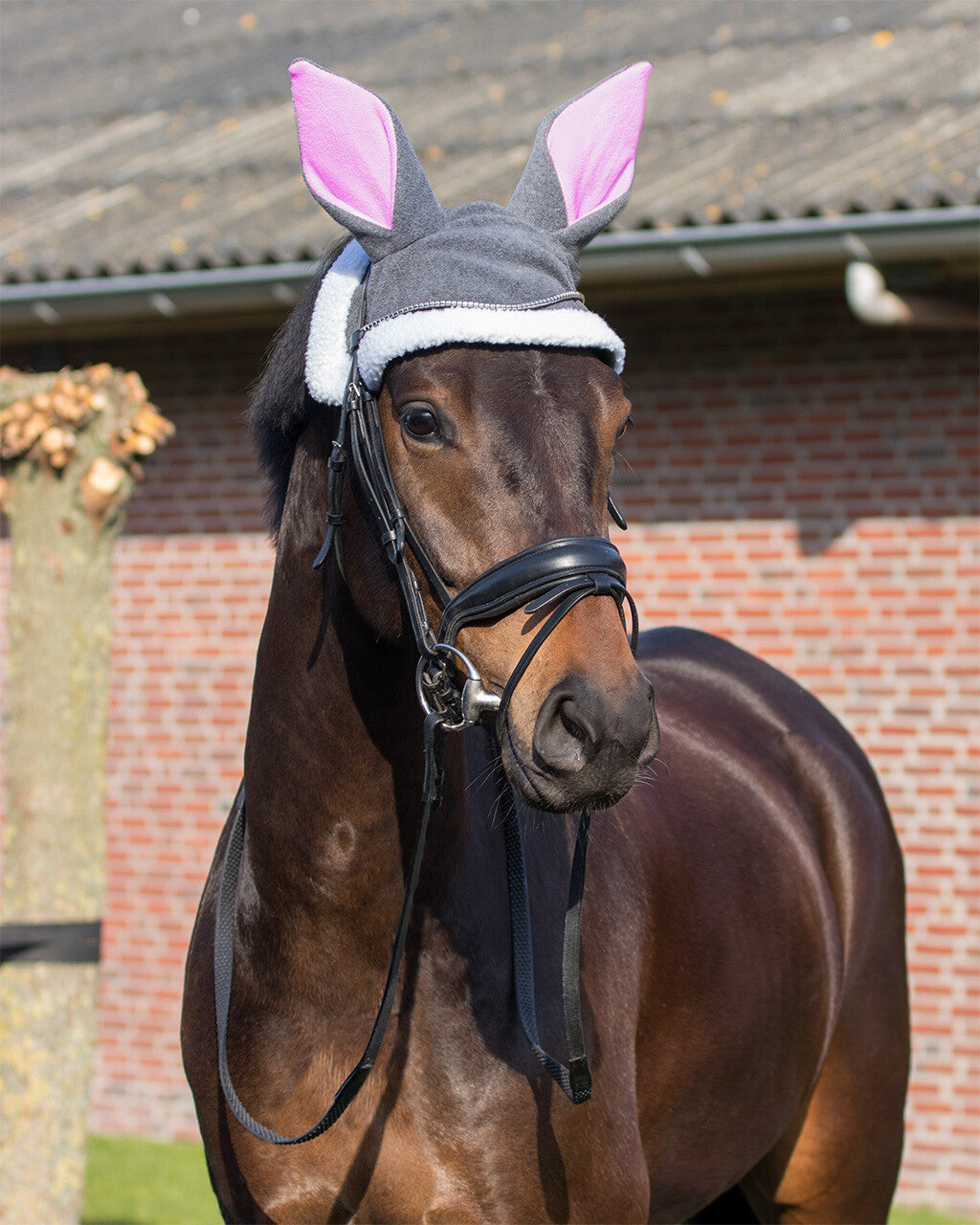 Cascos Easter bunny ears hat caballo QHP para equitación