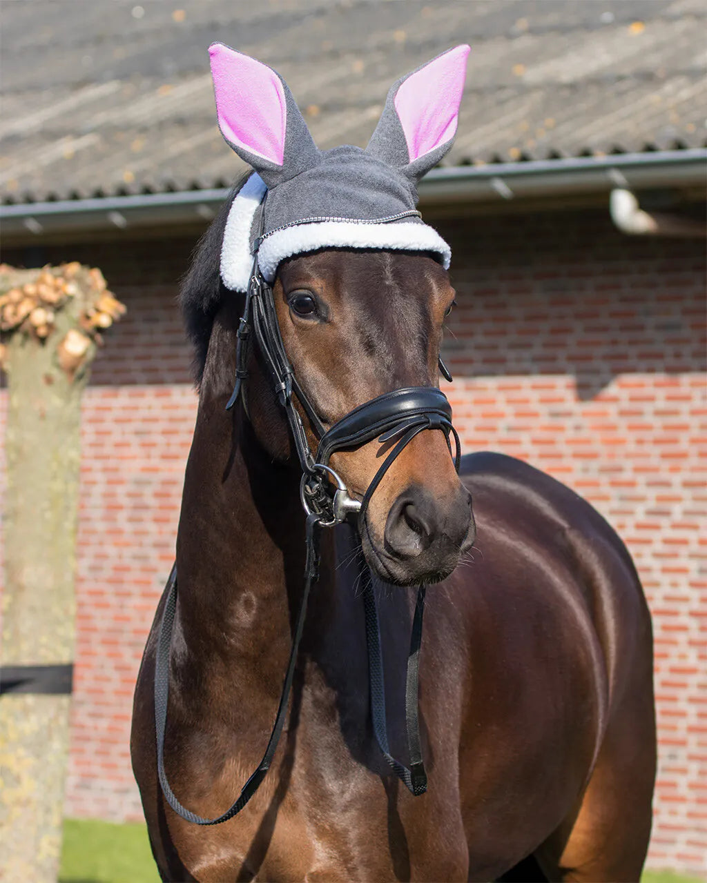 Cascos Easter bunny ears hat caballo QHP para equitación - vista 2