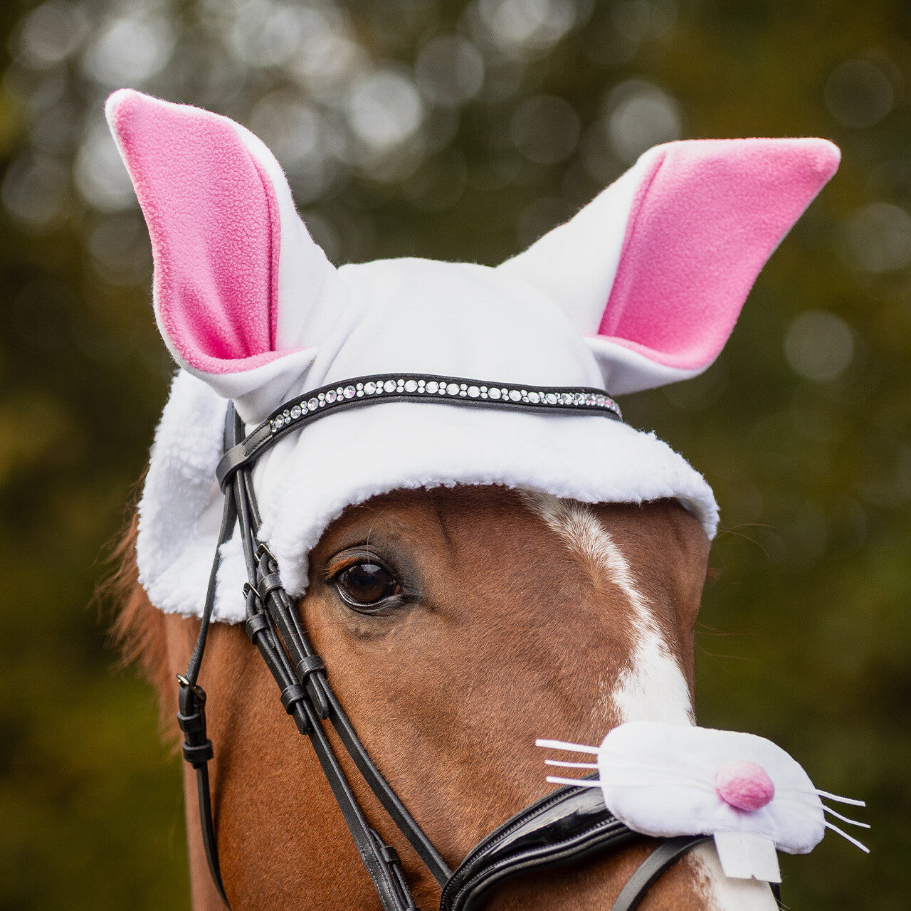 Cascos Easter bunny ears hat caballo QHP para equitación - vista 7