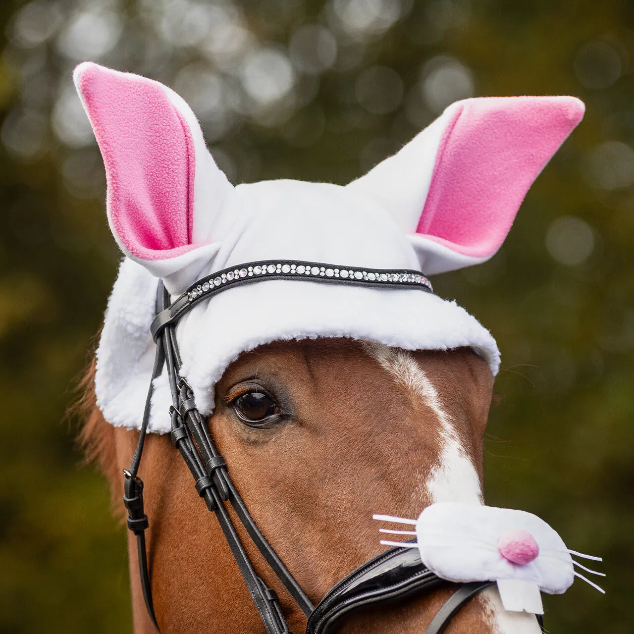 Cascos Easter bunny ears hat caballo QHP para equitación - vista 8