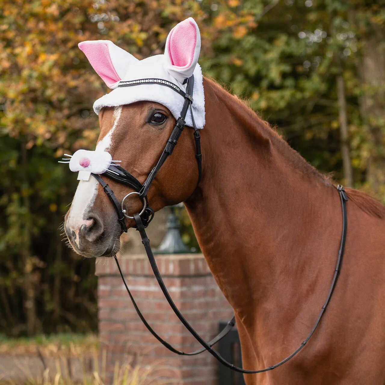Cascos Easter bunny ears hat caballo QHP para equitación - vista 10