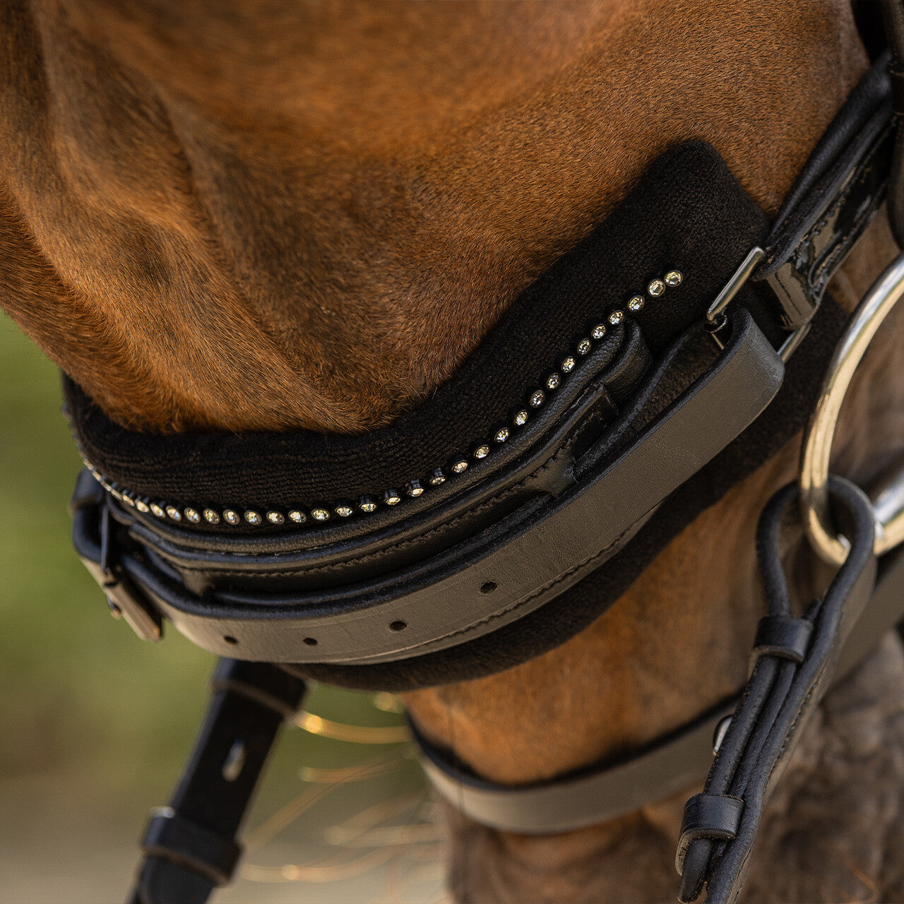 Cabezadas Chin pad Madelon QHP para equitación - vista 15