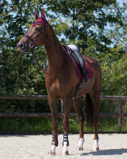 Orejera Ear net Florence QHP para equitación - vista 22