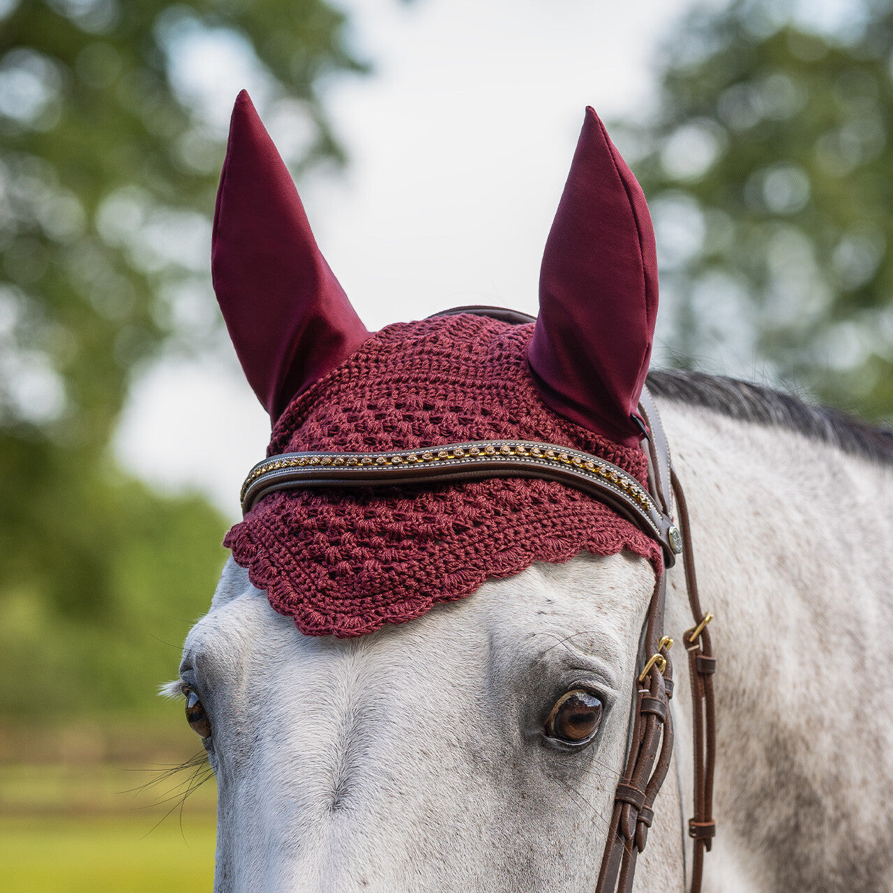 Orejera Ear net Florence QHP para equitación - vista 5