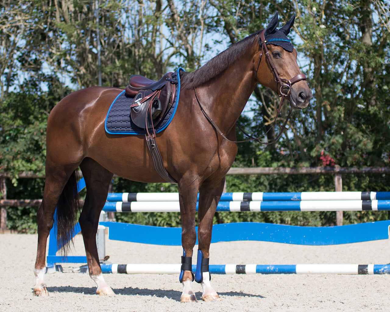 Orejera Ear net Florence QHP para equitación - vista 39