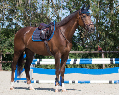 Orejera Ear net Florence QHP para equitación - vista 39