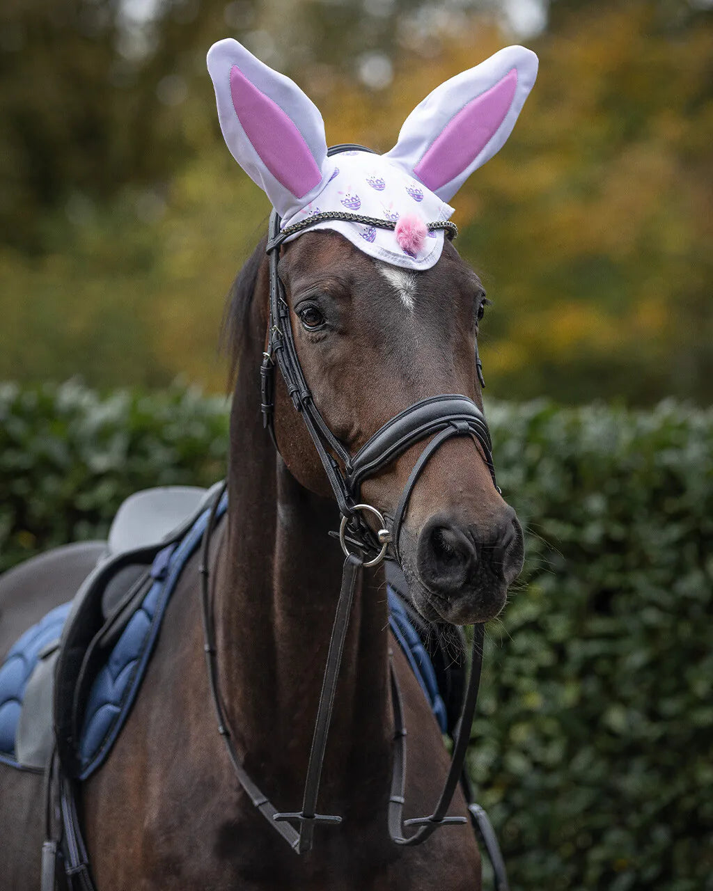Orejera Ear net Easter bunny QHP para equitación - vista 4