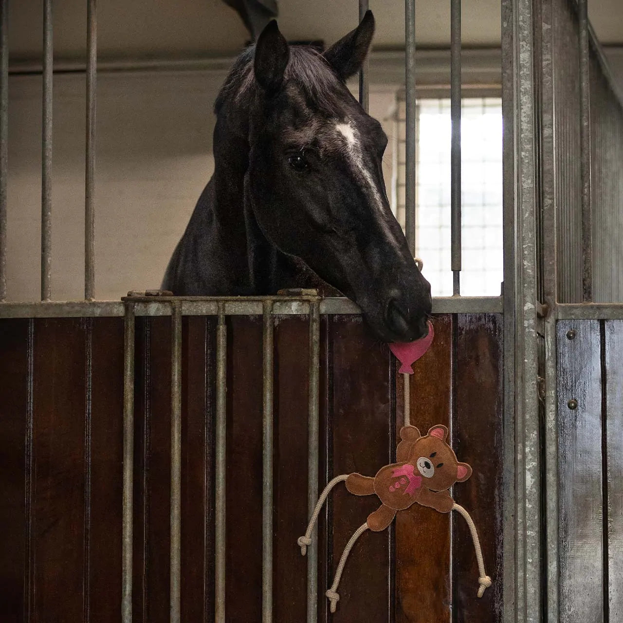 Decoración juguete para caballo Valentine QHP para equitación - vista 6
