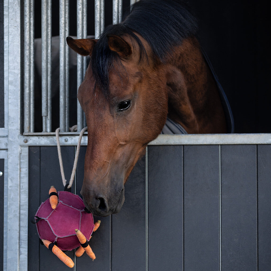 Accesorio ecuestre Caballo toy ball QHP para equitación - vista 13