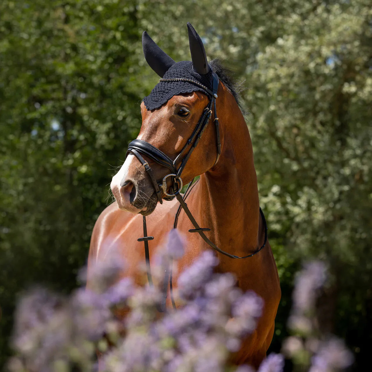 Orejera Ear net Flore soundless QHP para equitación - vista 6