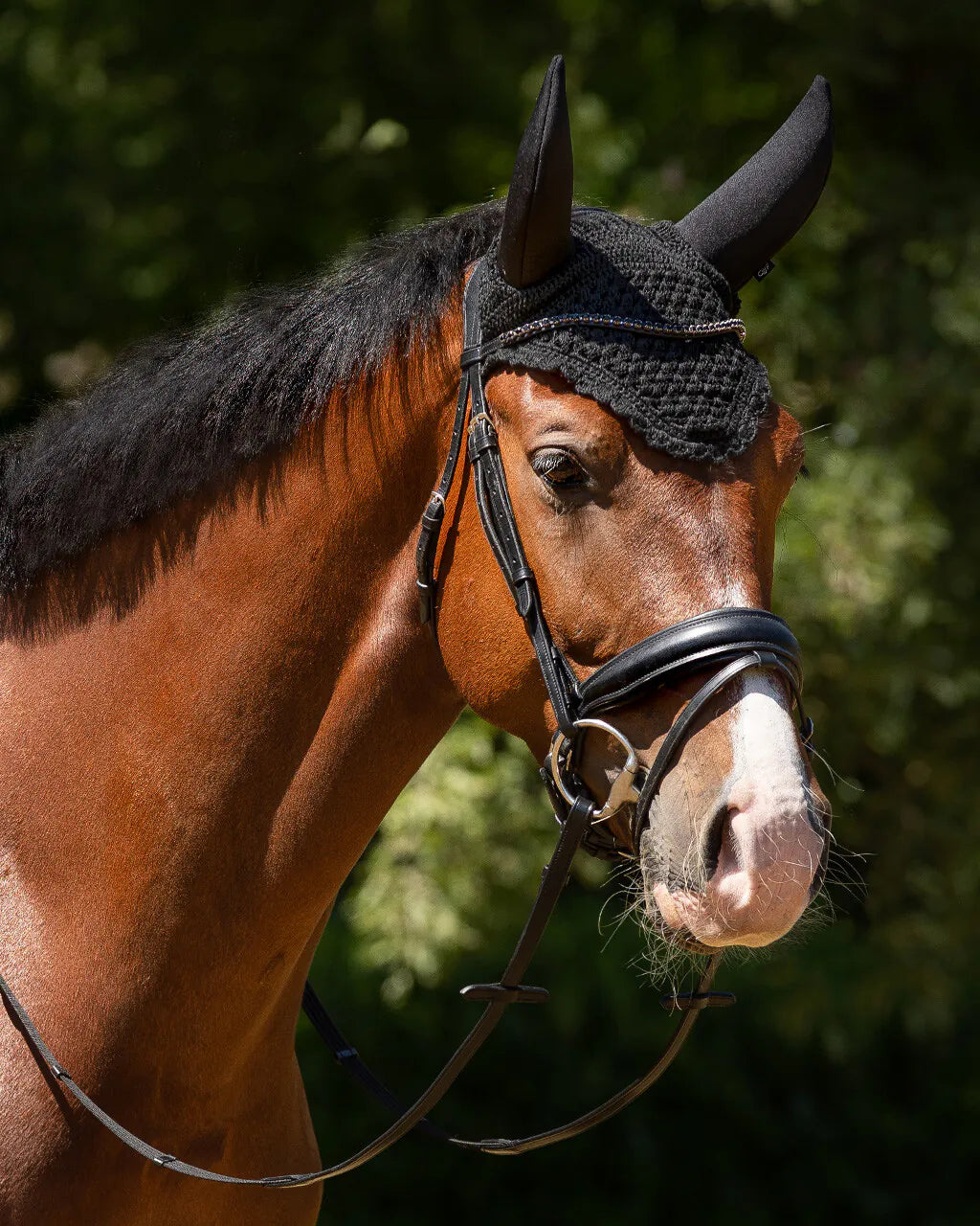 Orejera Ear net Flore soundless QHP para equitación - vista 16