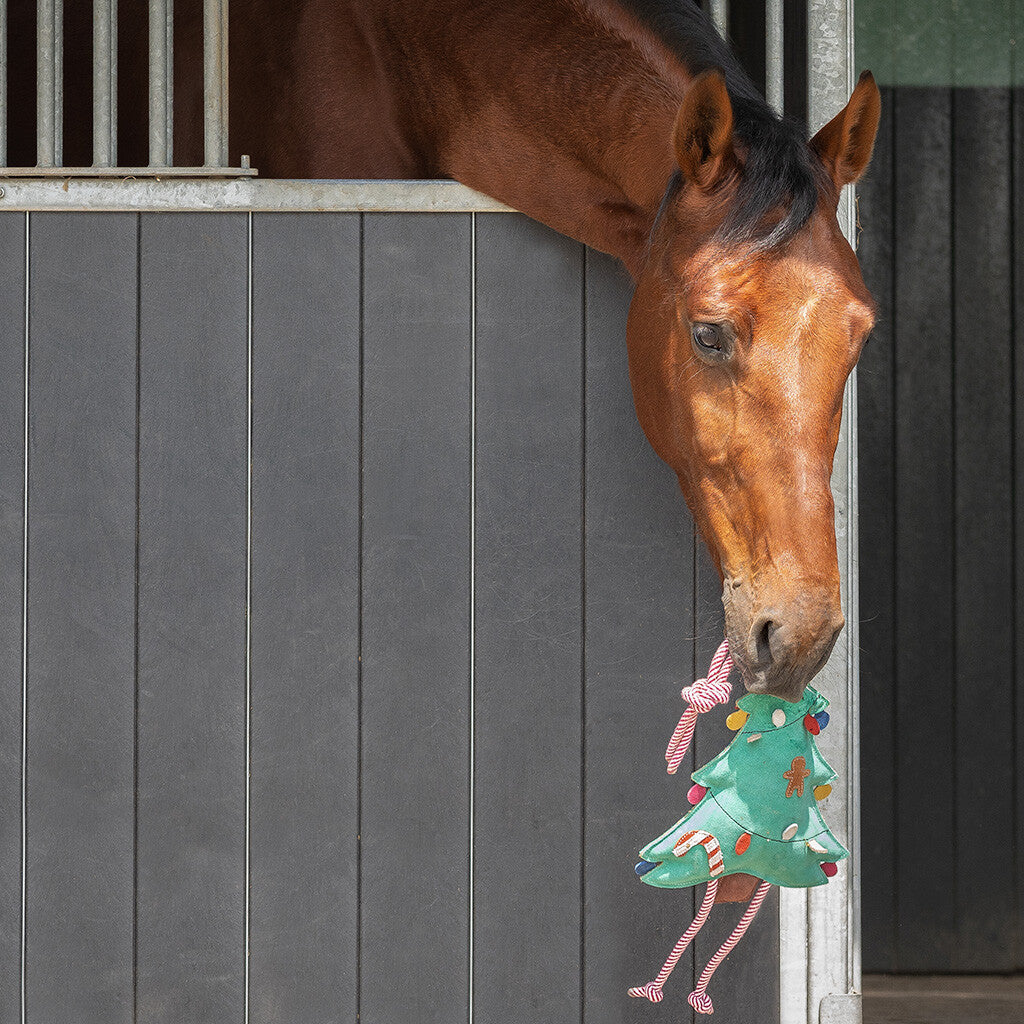 Accesorio ecuestre Caballo Toy Christmas QHP para equitación - vista 11