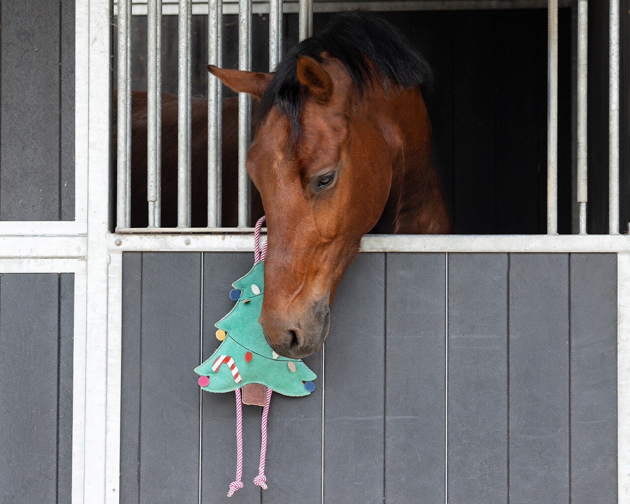 Accesorio ecuestre Caballo Toy Christmas QHP para equitación