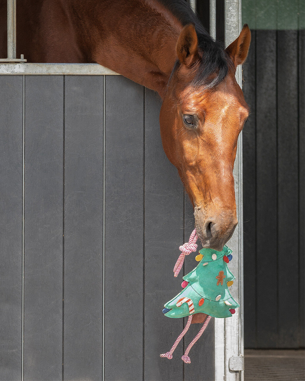 Accesorio ecuestre Caballo Toy Christmas QHP para equitación - vista 15