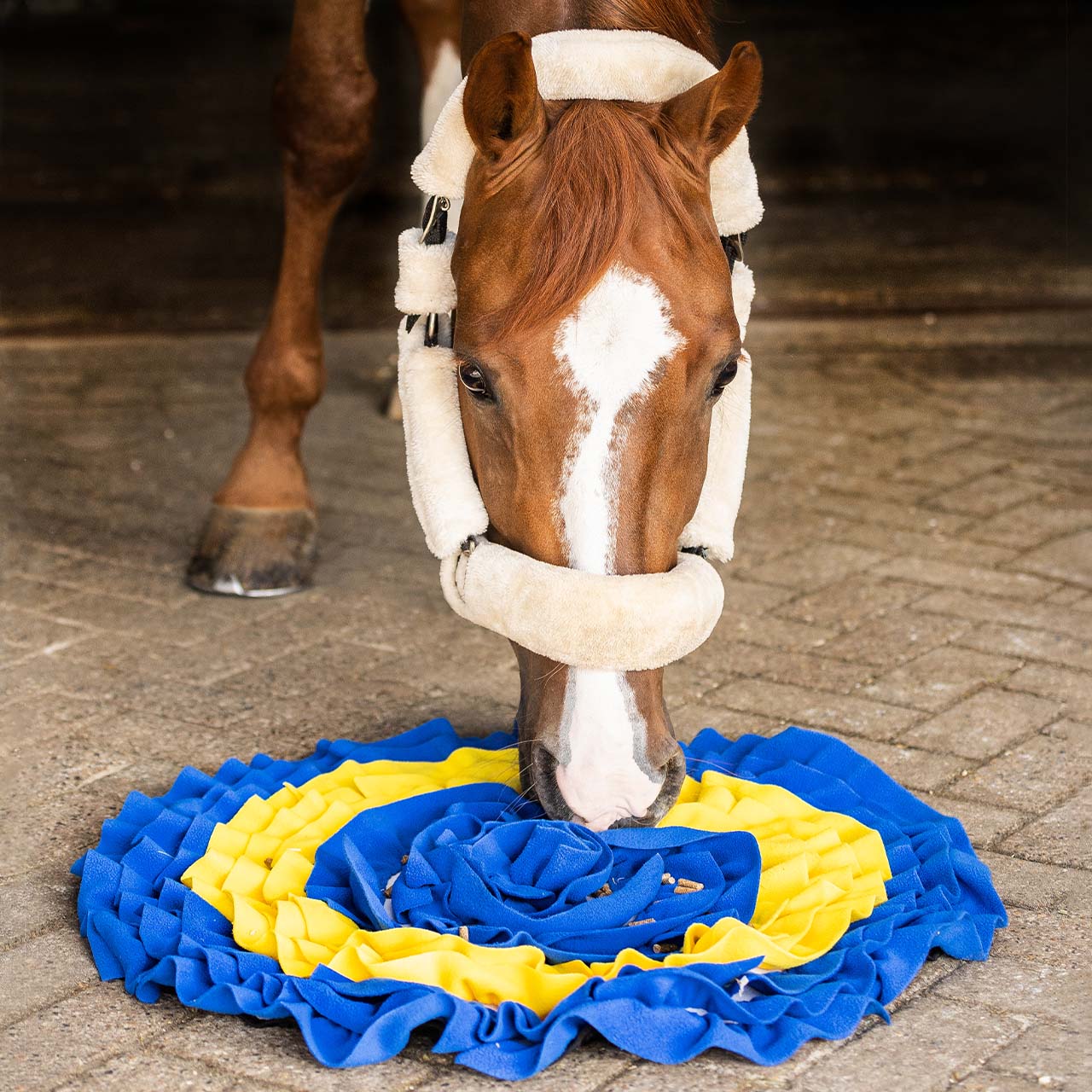 Snuffle mat para caballos QHP para equitación - vista 3