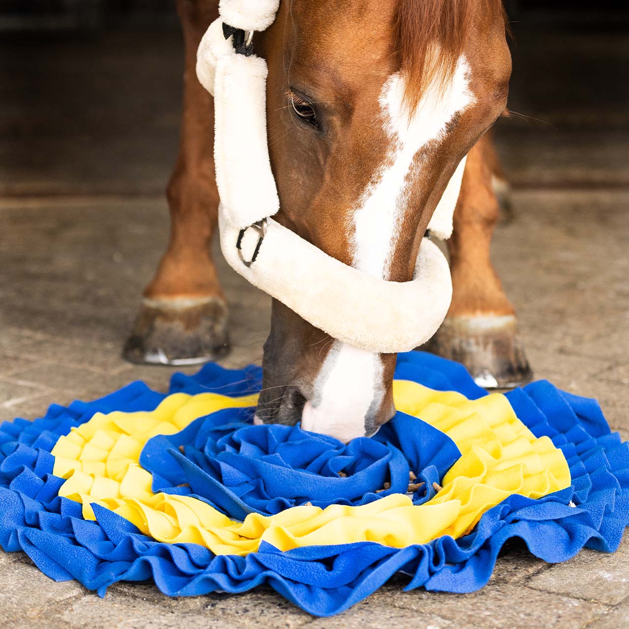Snuffle mat para caballos QHP para equitación - vista 18
