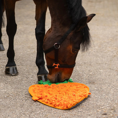 Snuffle mat para caballos QHP para equitación - vista 10