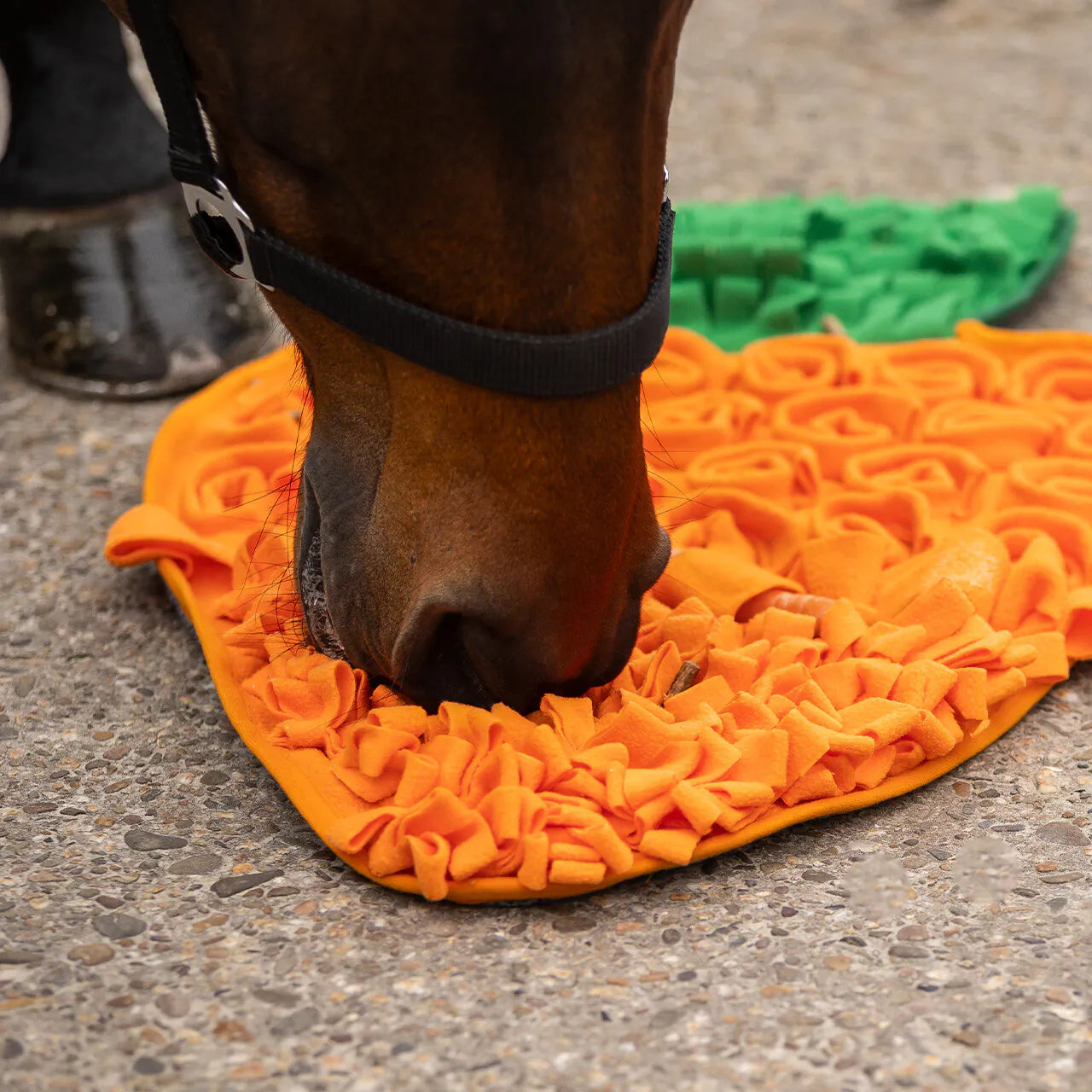 Snuffle mat para caballos QHP para equitación - vista 12