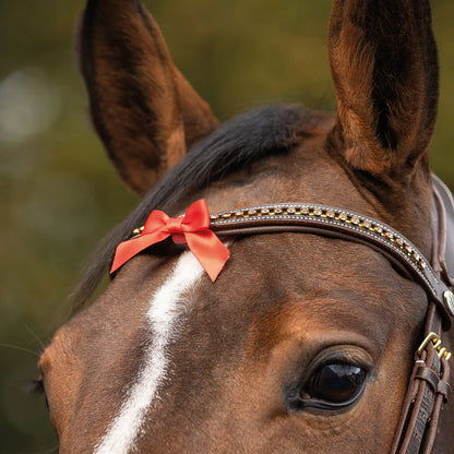 Cabezadas Warning bow small QHP para equitación - vista 6
