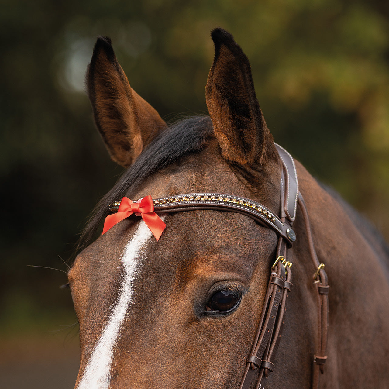 Cabezadas Warning bow small QHP para equitación - vista 7