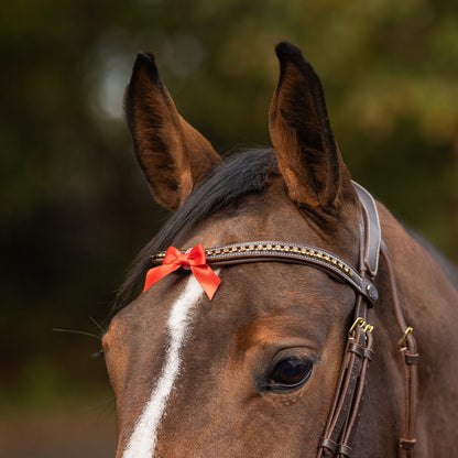 Cabezadas Warning bow small QHP para equitación