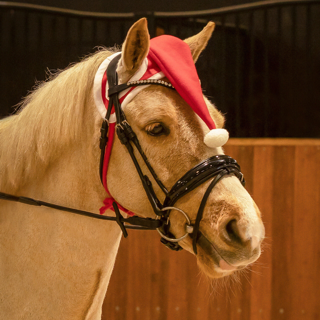 Accesorio ecuestre Gorras y sombreros gorro navideño caballo QHP para equitación - vista 5