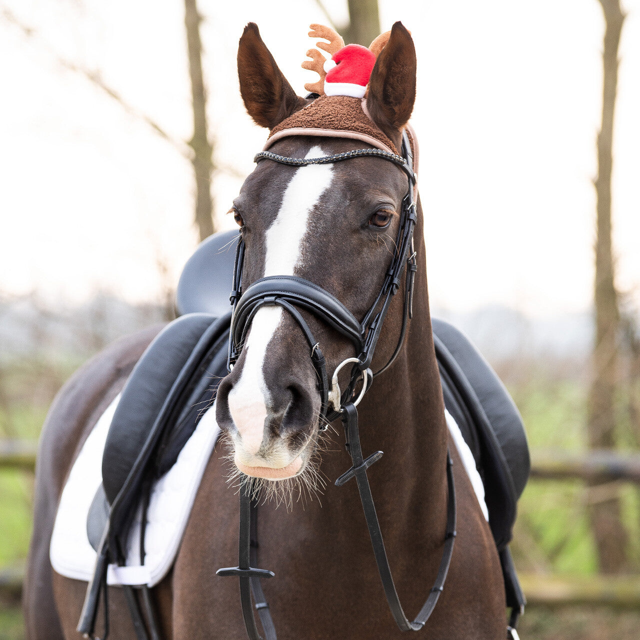 Casco Christmas hat caballo Antler QHP