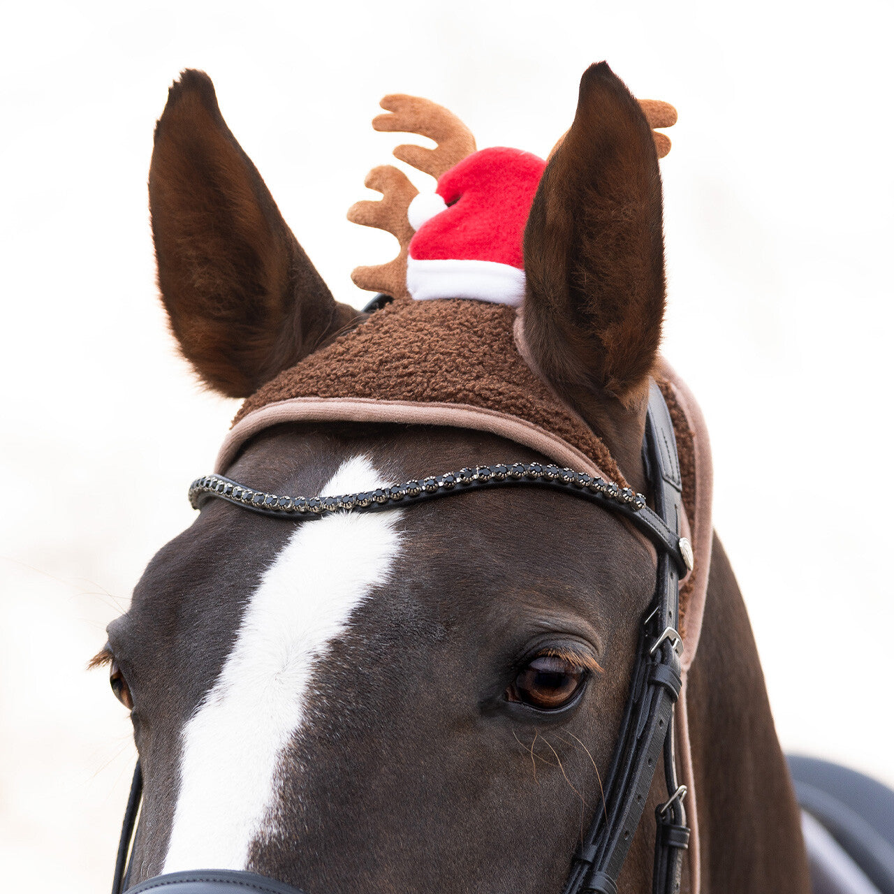 Casco Christmas hat caballo Antler QHP
