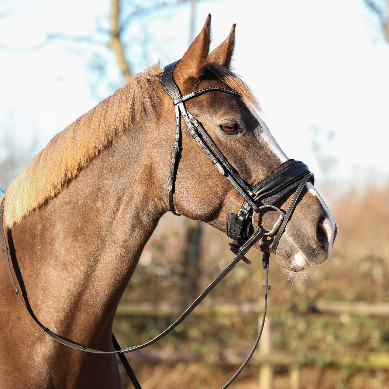 Cabezadas muserola pad Air Mesh QHP para equitación - vista 4