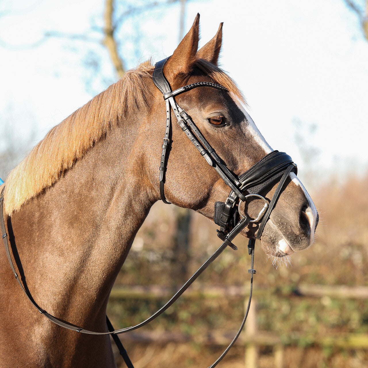 Cabezadas muserola pad Air Mesh QHP para equitación - vista 18