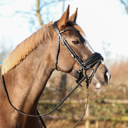Cabezadas muserola pad Air Mesh QHP para equitación - vista 23